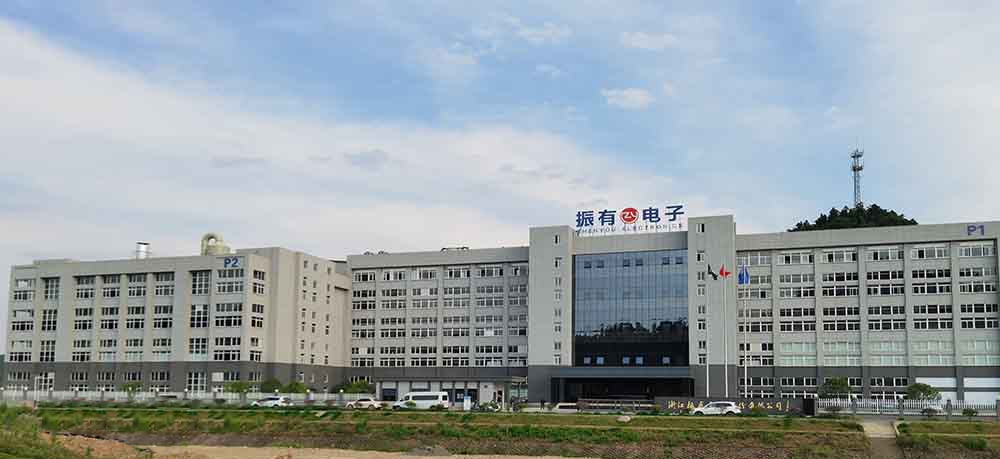 浙江振有電子股份有限公司定製一台大型香蕉视频软件